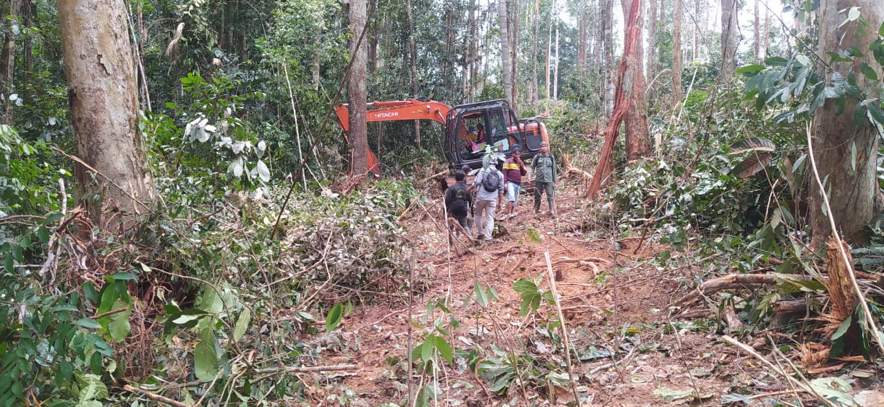KLHK Sumatra Pastikan Mantan Kades Perambah Hutan TNBT segera Diadili
