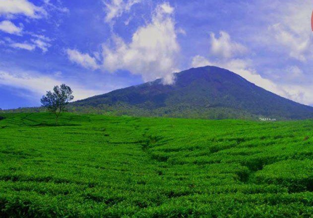 BPPTKG Catat 887 Gempa Terjadi di Puncak Merapi Selama Sepekan