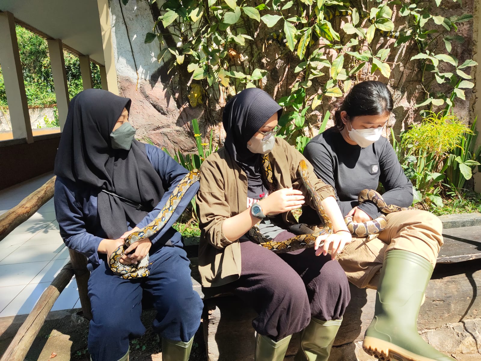 BKSDA Jabar Gandeng Kebun Binatang Bandung Adakan Pelatihan Penanganan Satwa