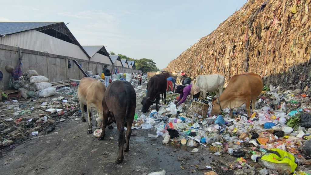 Masyarakat Diimbau tidak Asal Pilih Hewan untuk Kurban