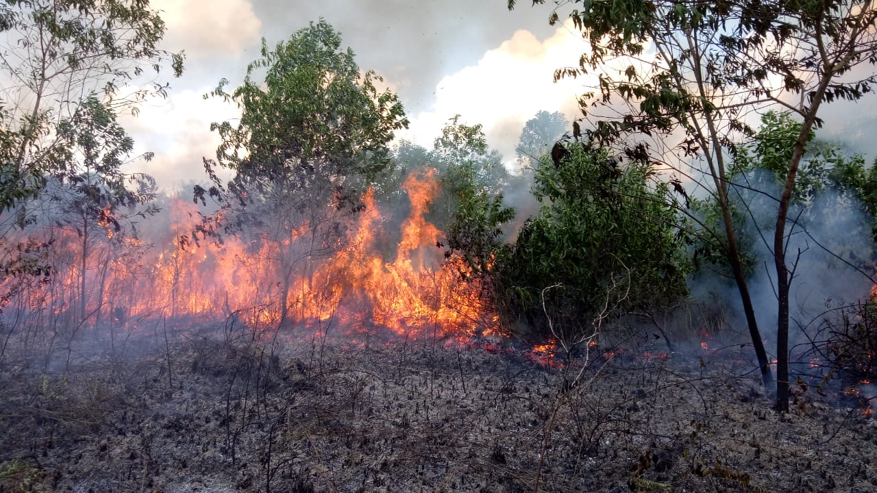 Cegah Karhutla, Polda Jambi Gandeng BPBD, TNI, dan MPA