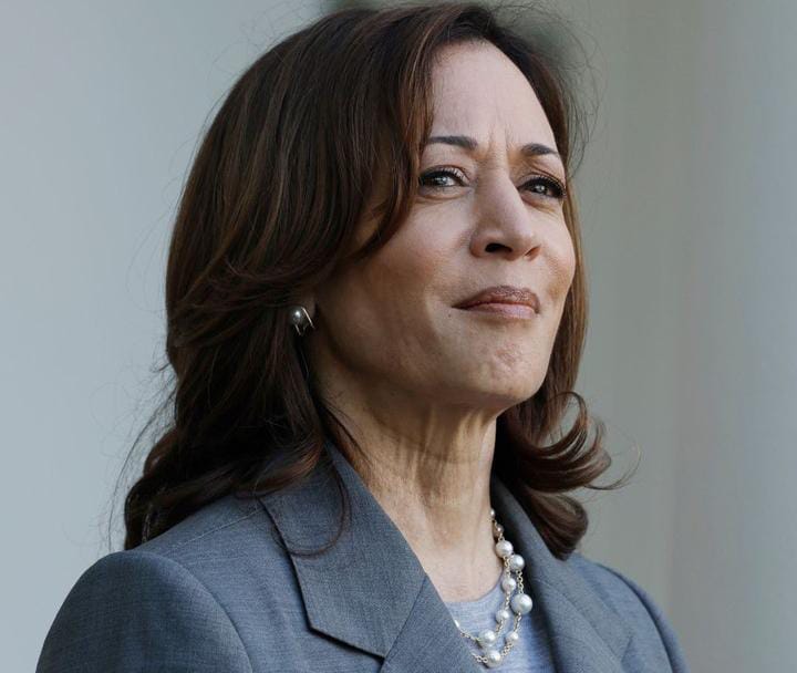 Demokrat Resmi Majukan Kamala Harris Jadi Capres AS