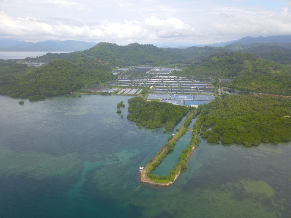 Tambak milik ISEA di Lampung