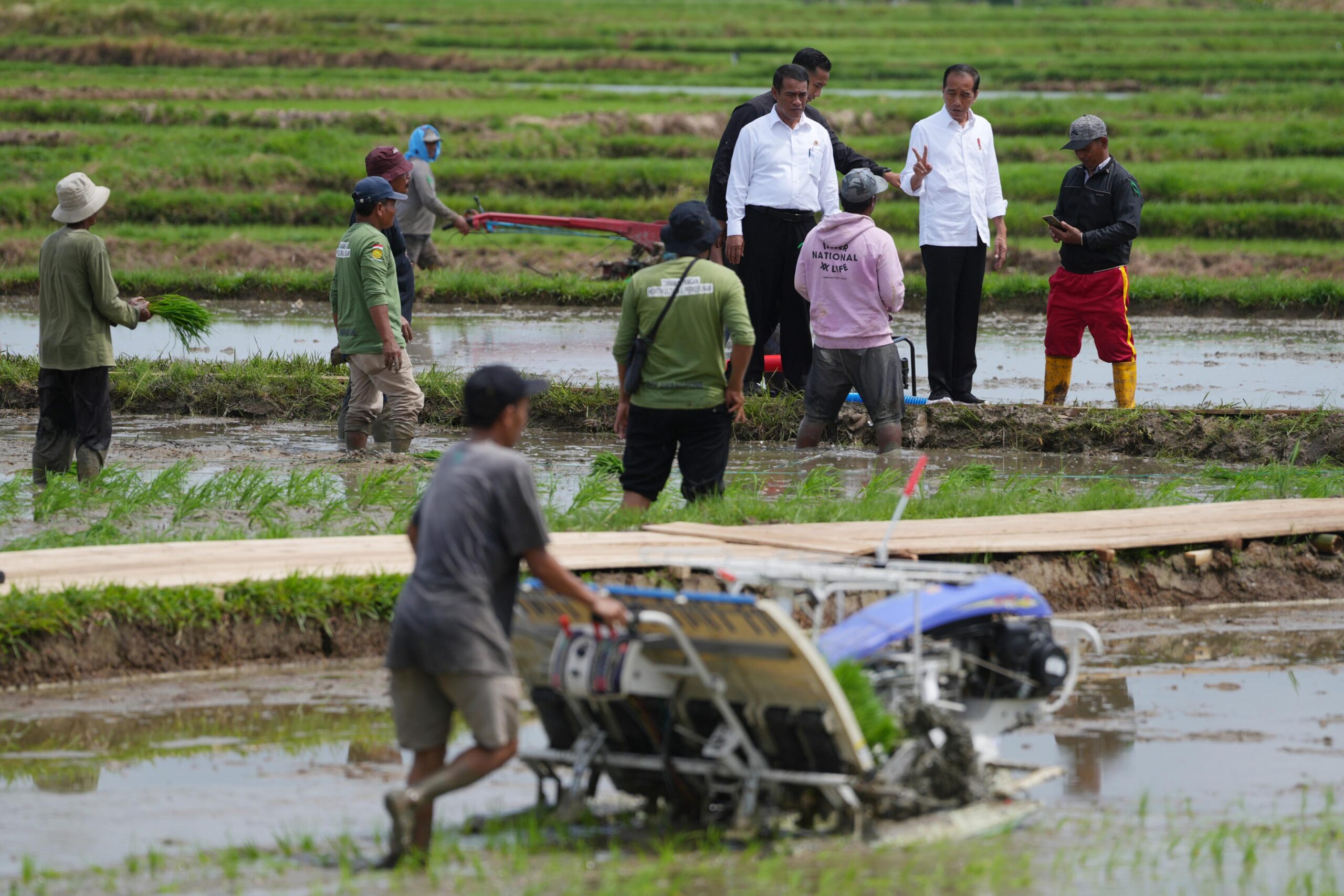 Presiden Jokowi Beri Bantuan 300 Unit Pompa Air untuk Petani Bone