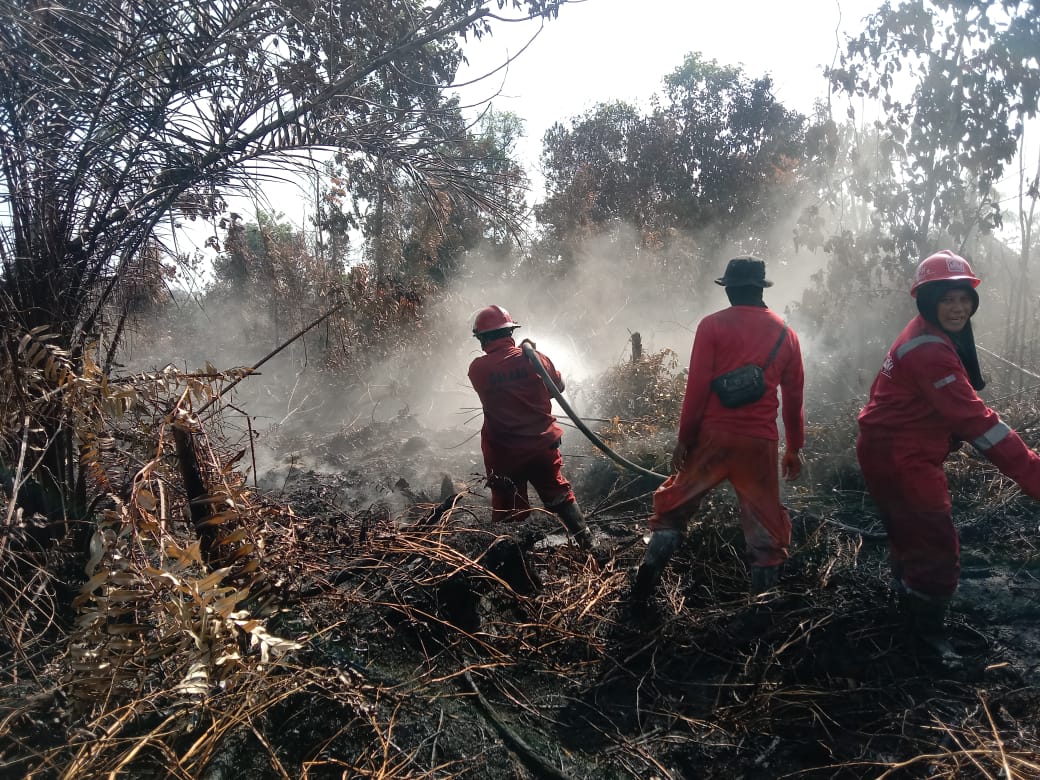 KLKH Segel 10 Ha Lahan Hutan di Karya Indah yang Terbakar