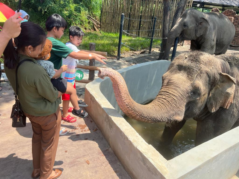 DPRD Solo Selidiki Penyebab Matinya Dua Gajah di Solo Safari