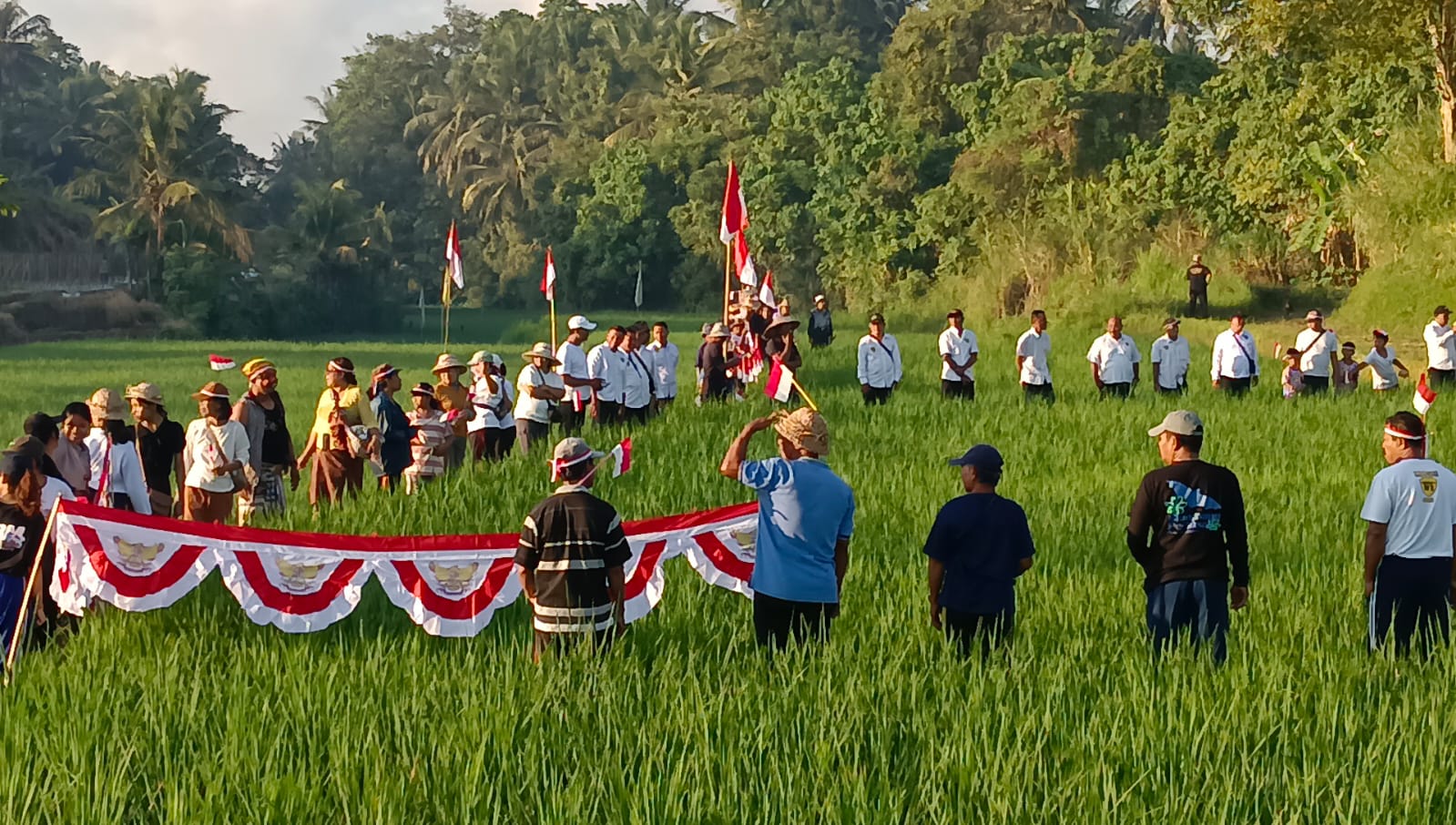 Upacara Bendera di Tengah Sawah Simbol Bahagiakan Petani