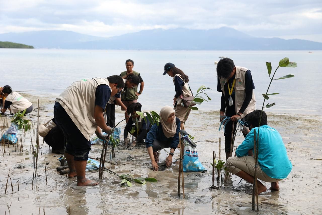 KKN UGM Lepas Tukik dan Penanaman Mangrove di Bunaken