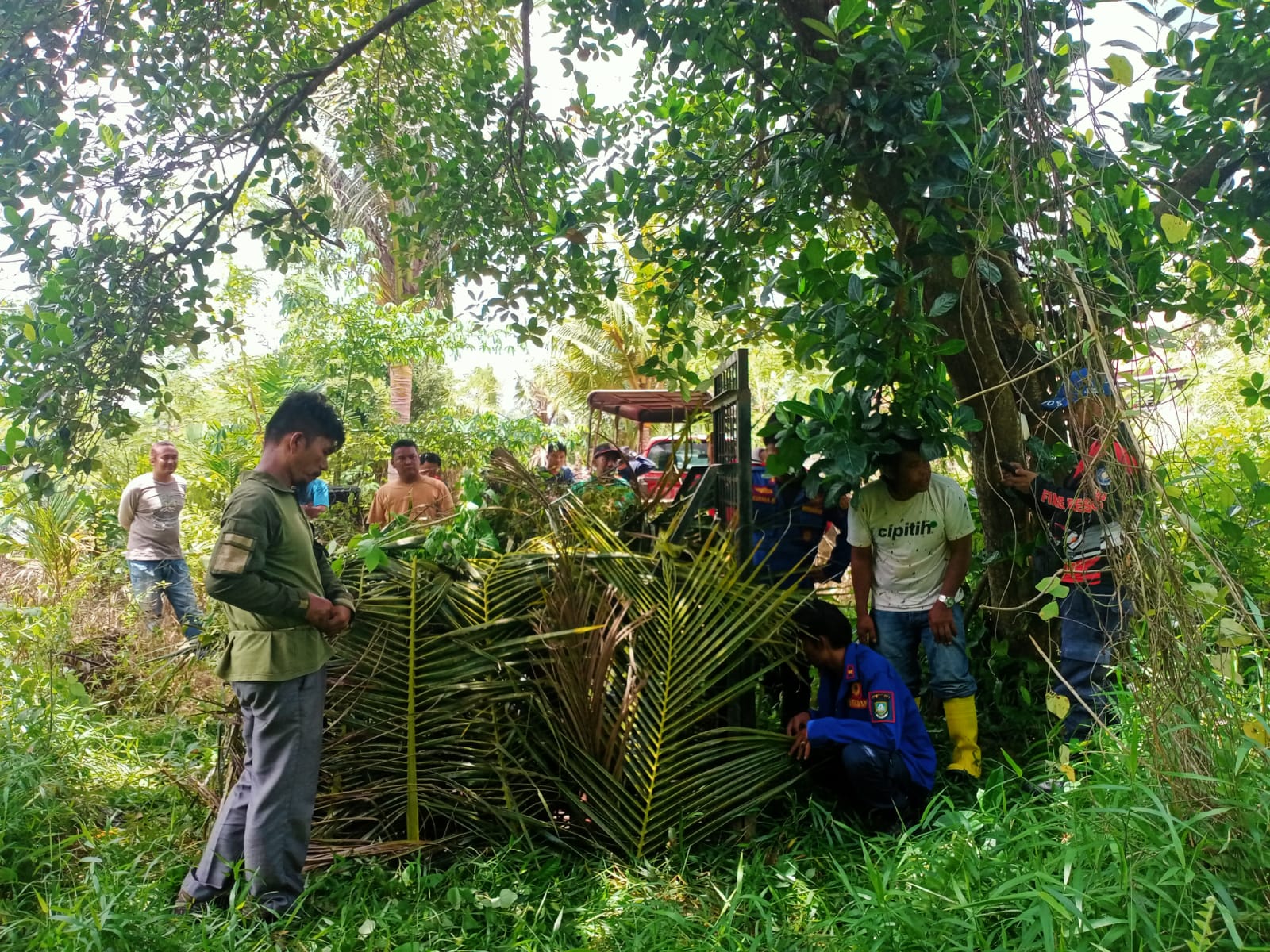 Beruang Madu Korban Jerat di Bengkalis Dilepasliarkan