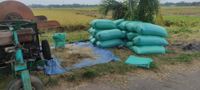 Tingkatkan Penghasilan, Petani Tentukan Harga pada Tengkulak