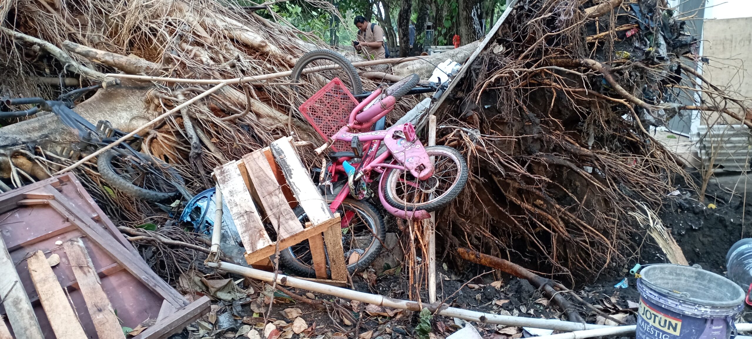 Hujan deras disertai angin kencang landa kabupaten sleman dan Yogyakarta.