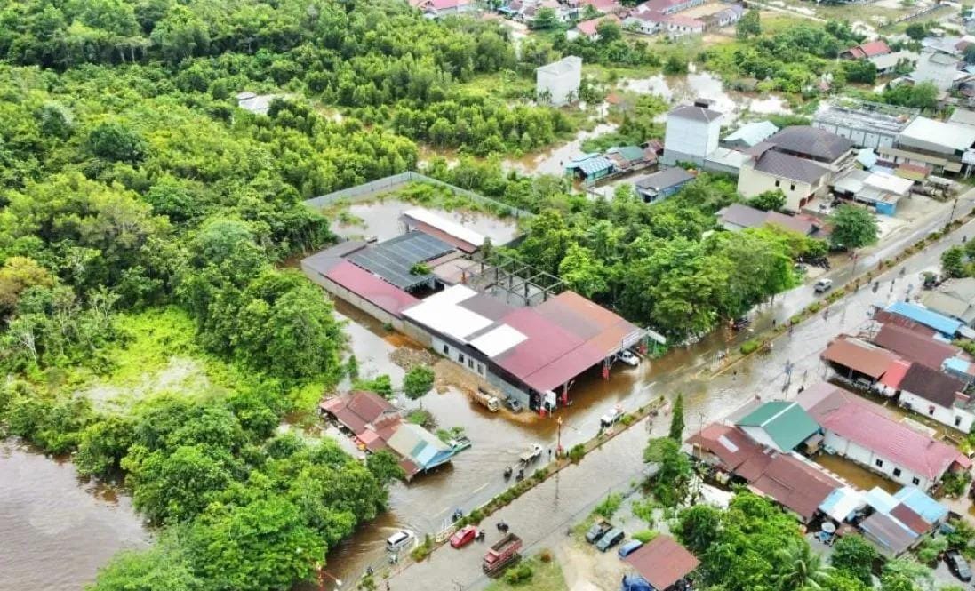 Walhi Sebut Banjir di Kalimantan Tengah Semakin Memburuk