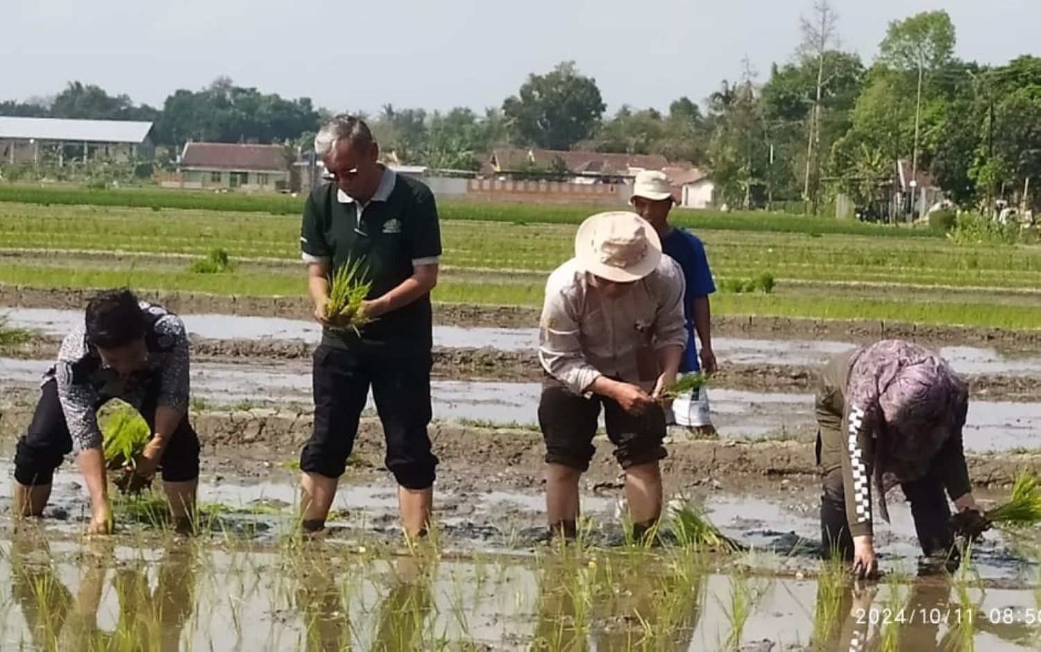 Dinas Pertanian Sleman Sosialisasi Cara Dapat Pupuk Subsidi