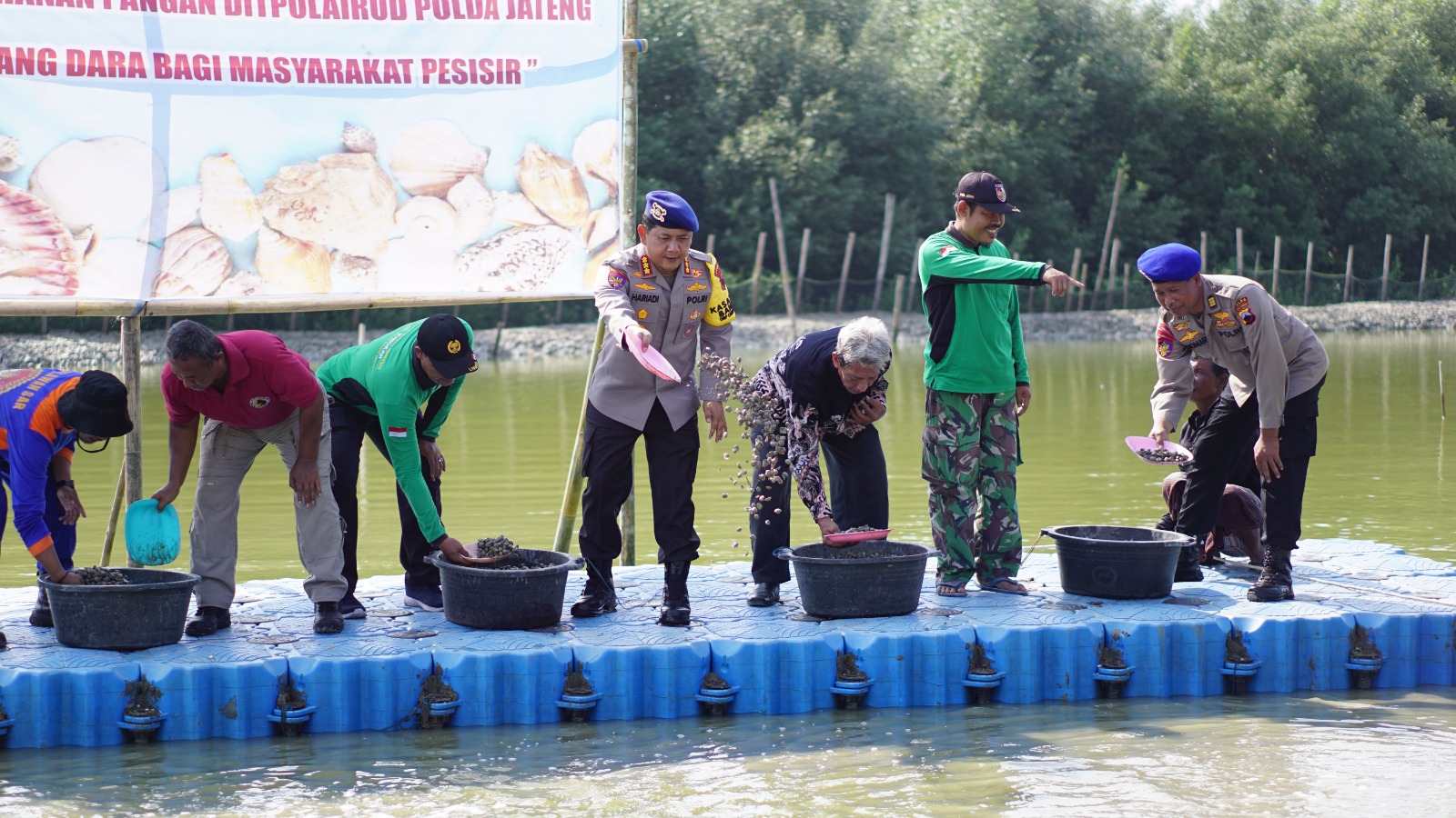 DALAM upaya memperkuat ketahanan pangan di wilayah pesisir, Ditpolairud Polda Jawa Tengah menebar 5 ton benih kerang dara di Demak.