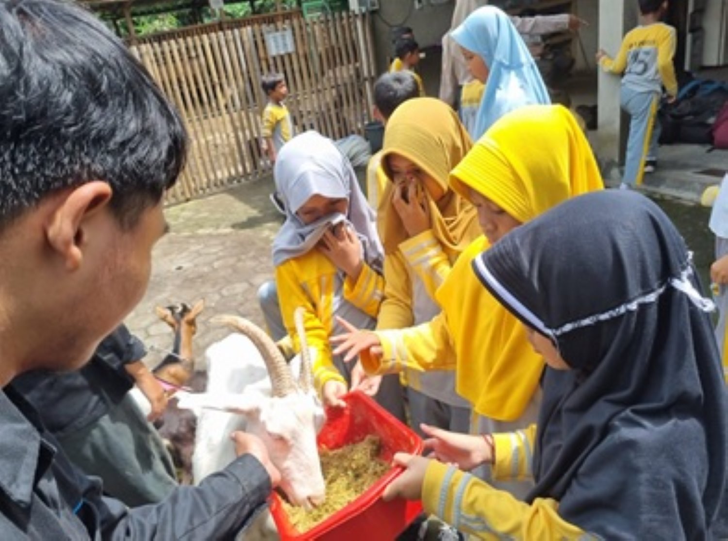 Pengenalan Eduwisata Kambing Lokal untuk Anak SD