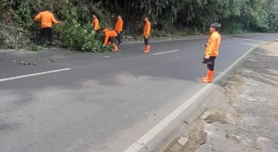 BPBD Kabupaten Subang Giatkan Tebang Pohon Rawan Tumbang