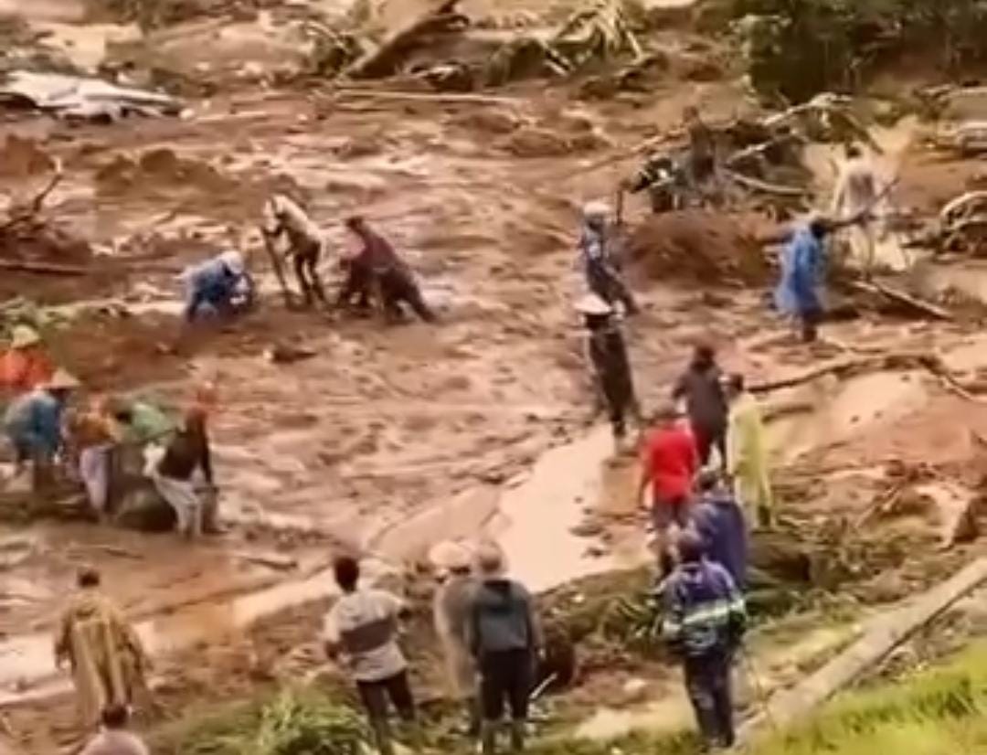 Longsor di Kabupaten Pekalongan Dilaporkan 15 Orang Meninggal