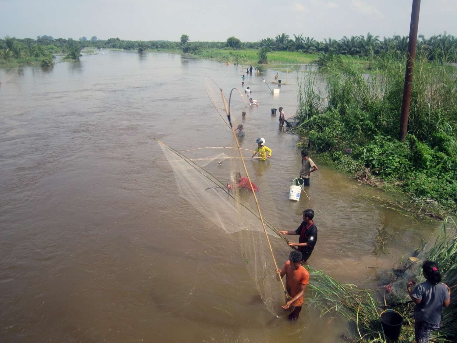 Banjir Luapan Sungai Kampar Landa Pelalawan