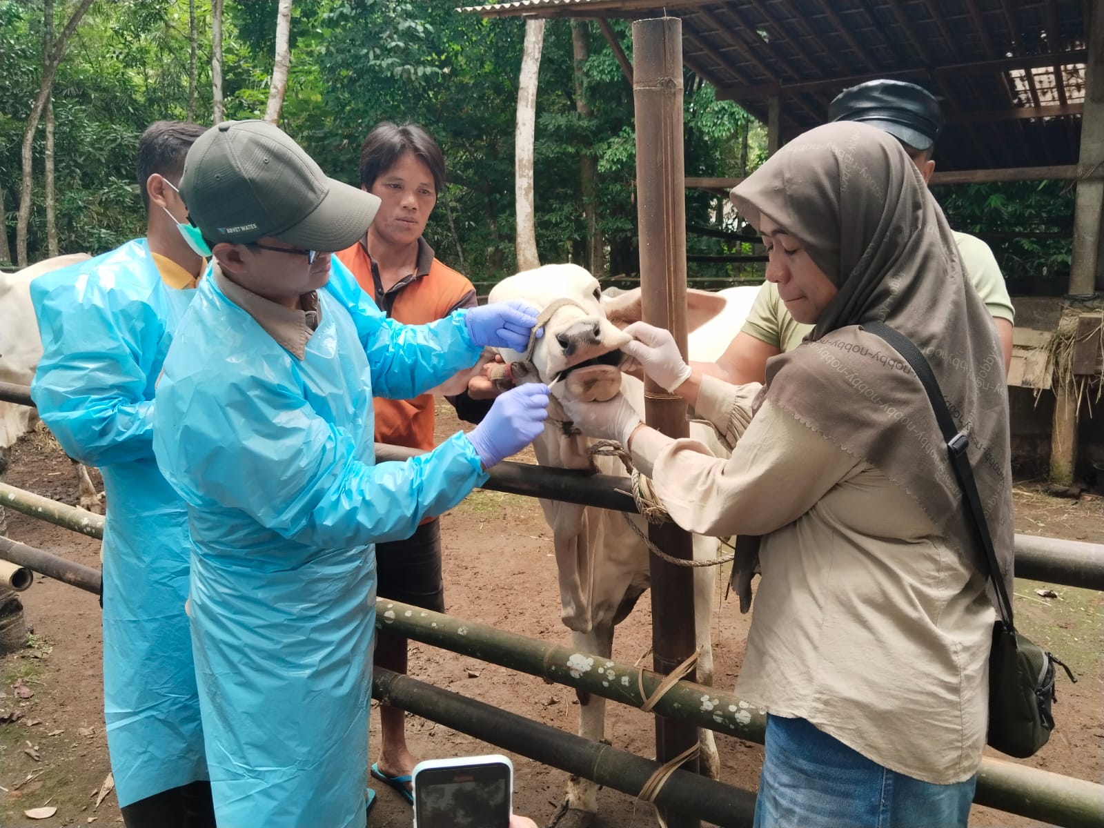 Pemprov Jateng Atasi Merebaknya Penyakit Mulut dan Kuku