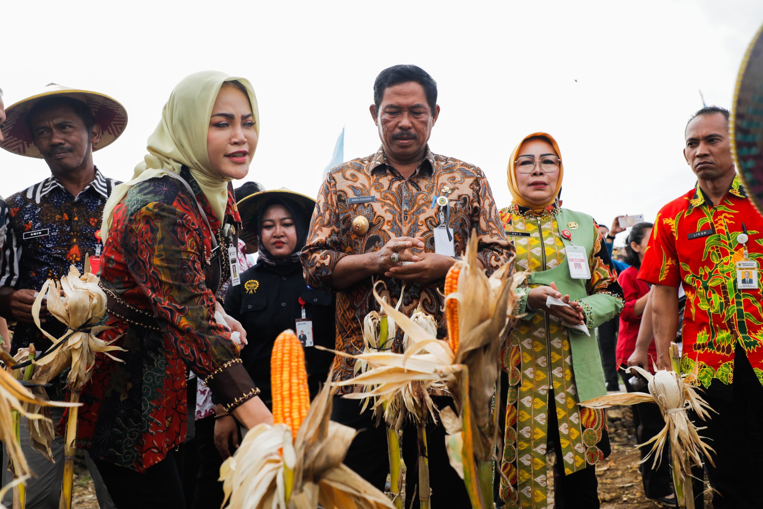 Penjabat Gubernur Jateng Nana Sudjana melakukan panen raya jagung bersama Kelompok Tani Hutan di Desa Tegalsumur,, Grobogan.