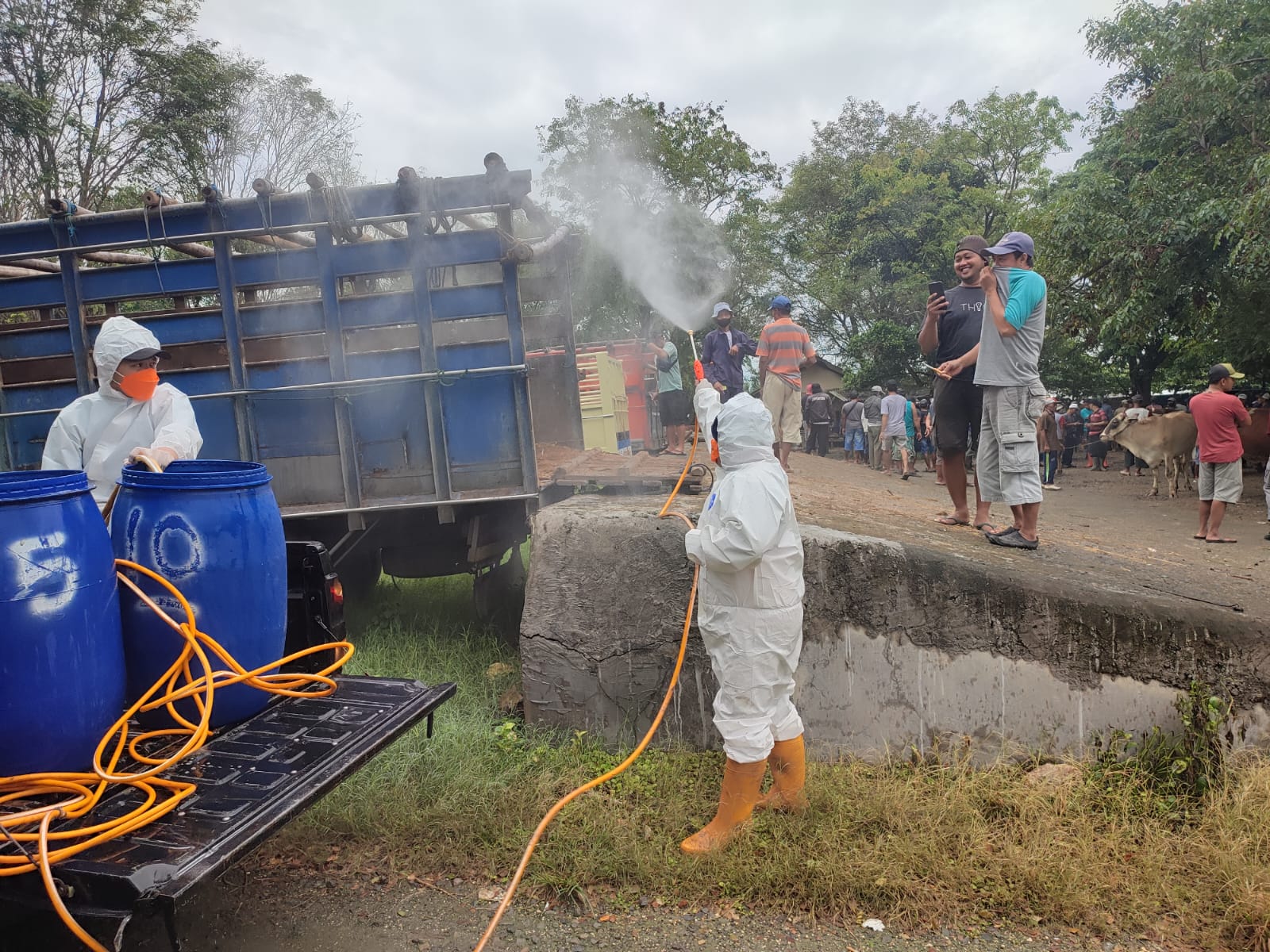 Kasus PMK di Jateng Melandai, Peternak Tetap Harus Waspada