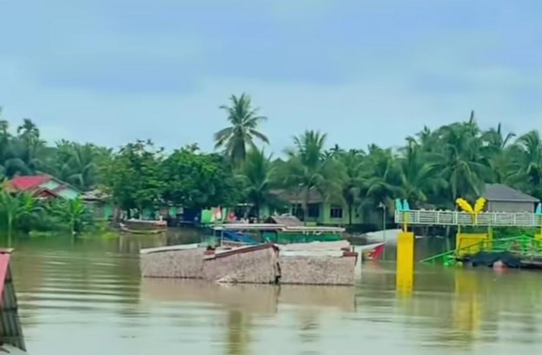 Banjir Meluas, Riau Minta Bantuan Pemerintah Pusat