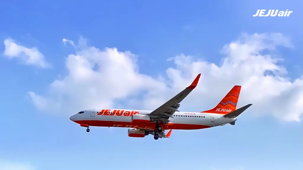 Pesawat Jeju Air Pernah Punya Riwayat Kecelakaan 2021