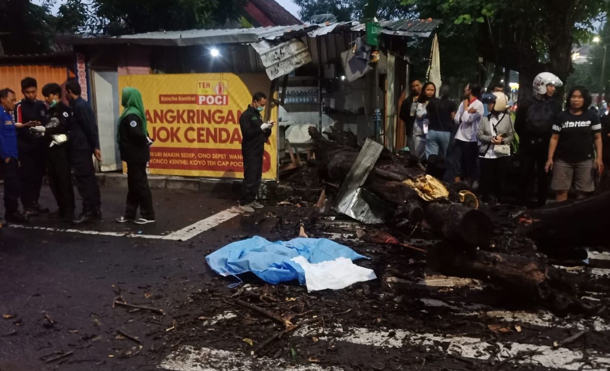 Tertimpa Pohon Tumbang, Penjual Angkringan Meninggal