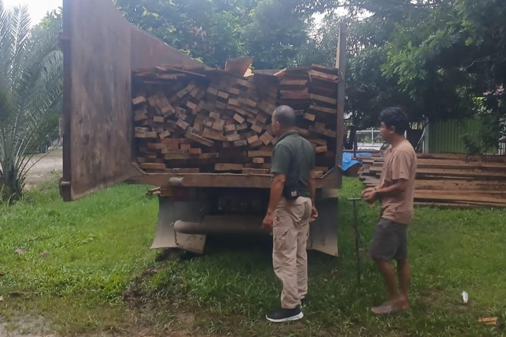 Petugas Amankan Dua Pelaku Pembalakan Liar