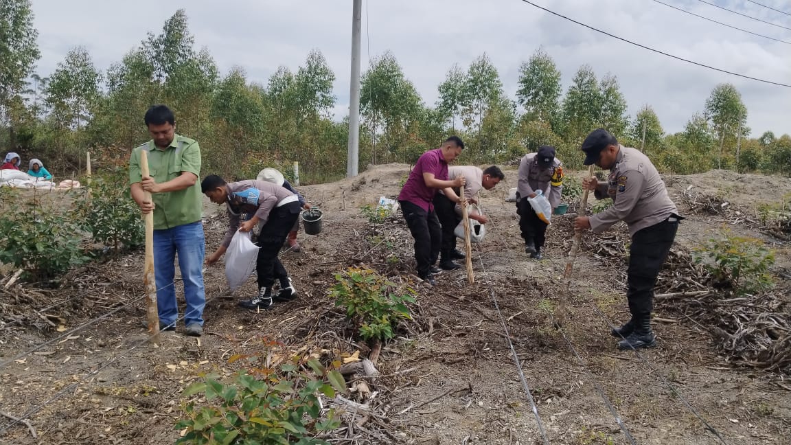 Dukung Swasembada Pangan, PT TPL Bagikan Bibit Jagung dan Kompos