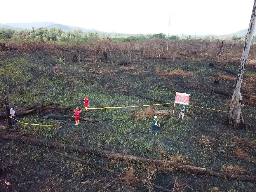 Tujuh Daerah di Riau Mulai Dilanda Karhutla