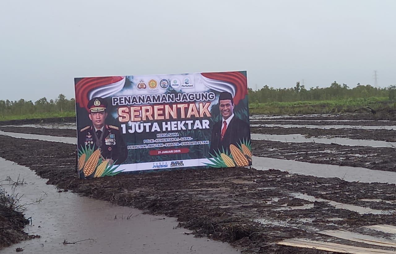 Program Swasembada Pangan Terkendala Ketersediaan Lahan