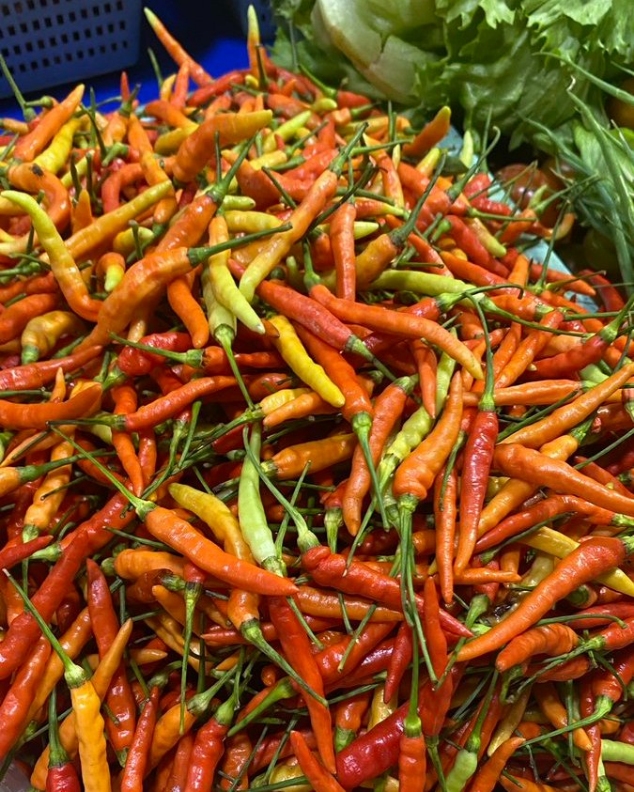 Harga Cabai Merah di Pekanbaru Tembus Rp90 Ribu per Kg