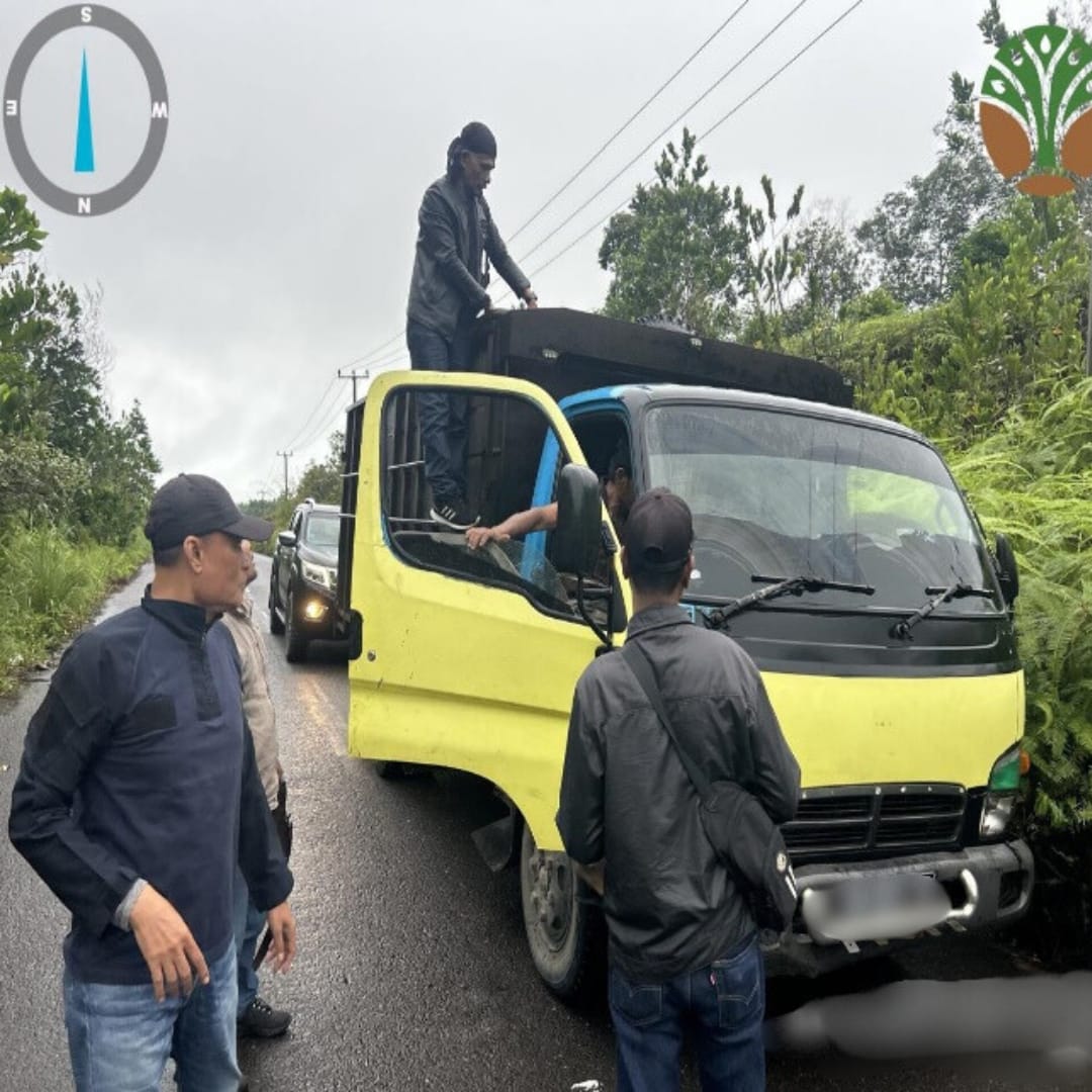 Gakkum Kehutanan Tangkap Pembalak Liar di Kerumutan 