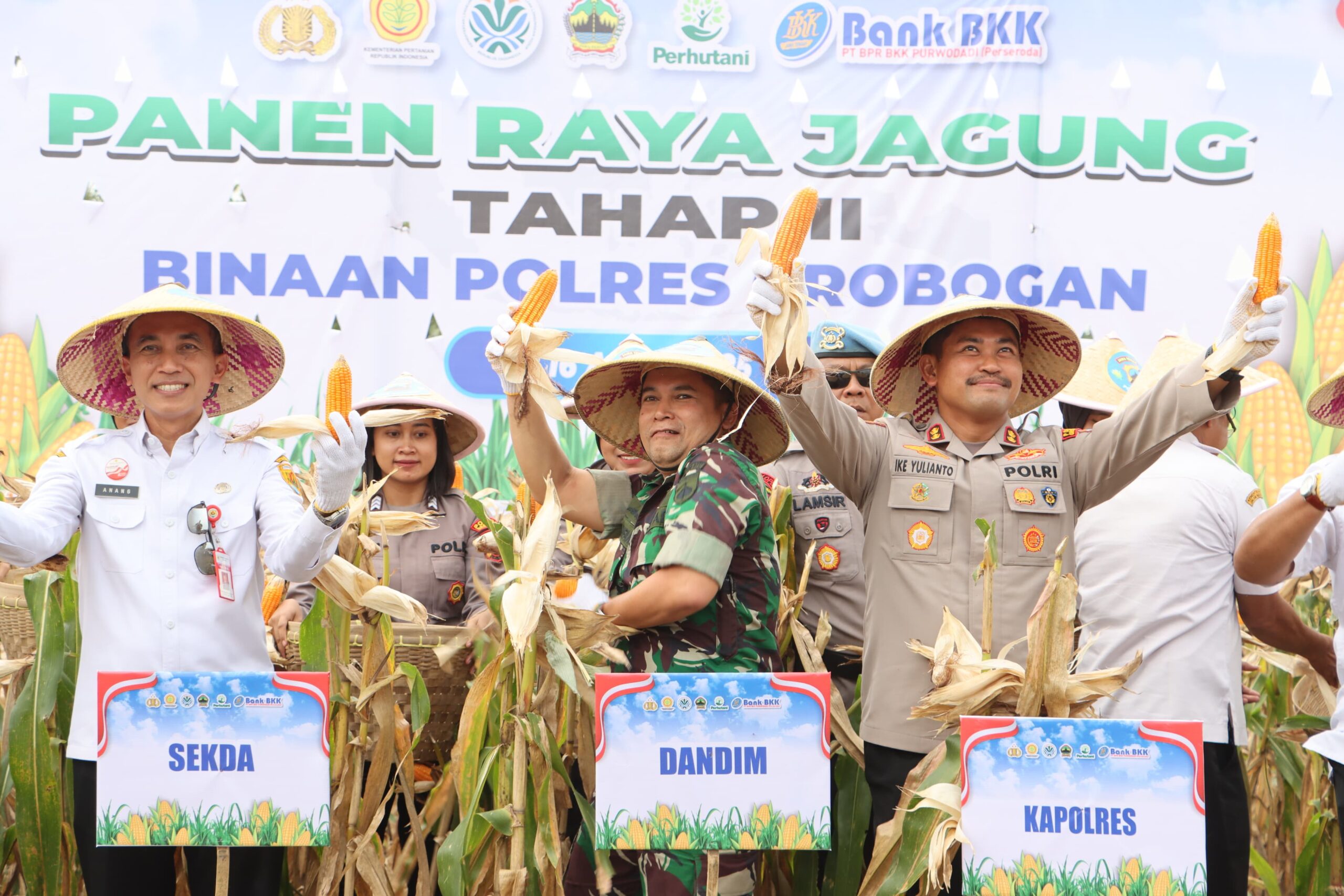 Dukung Swasembada Pangan, Polres Grobogan Panen Jagung