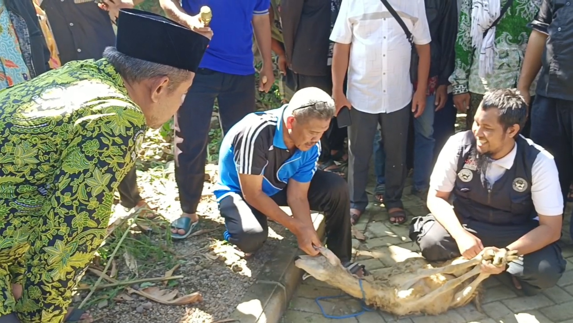 DMI Latih 160 Jagal Cara Memotong Hewan Kurban Sesuai Syar’i