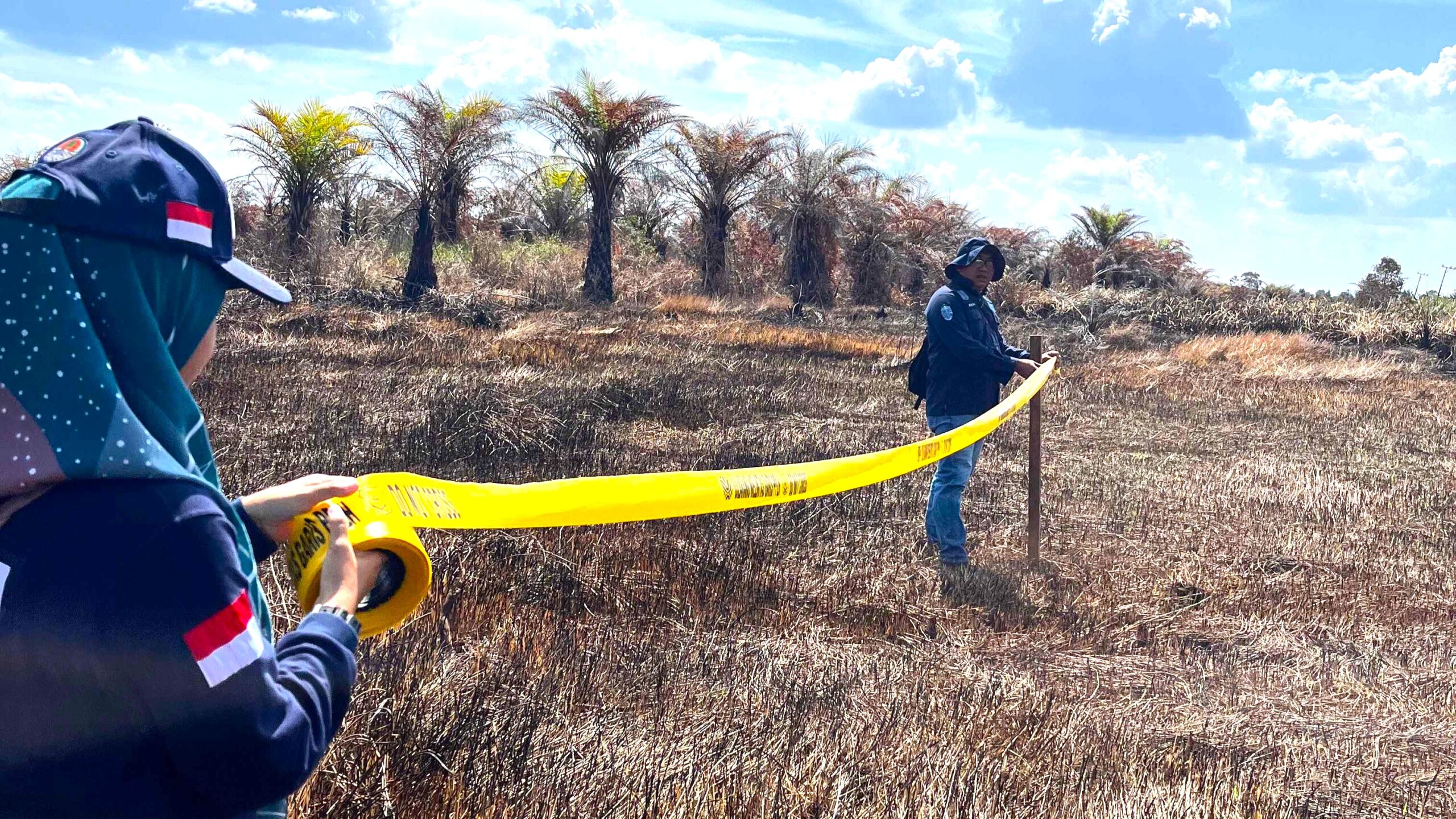 KLH-BPLH Tindak PT Sentosa soal Kebakaran 1.500 Ha Lahan