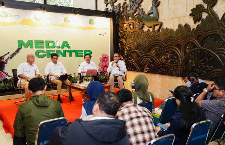 Kemenhut: PT SPS di Pulau Sipora Belum Kantongi Izin PBPH