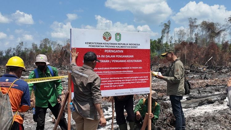 kebakaran hutan melibatkan 10 korporasi yang kini tengah diselidiki