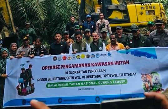TN Gunung Leuser mulai dibersihkan dan dipulihkan dari tanaman sawit ilegal