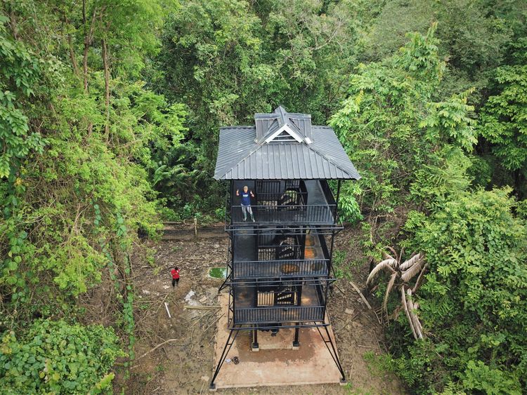 ujung kulon sebagai habitat asli badak jawa tetap dipertahankan sebagai tempat tinggal badak jawa