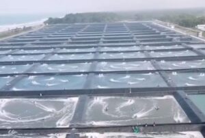 PEMERINTAH Provinsi Jawa Barat melalui Dinas Kelautan dan Perikanan (DKP) Jabar menjamin produk udang asal daerah tersebut aman dikonsumsi