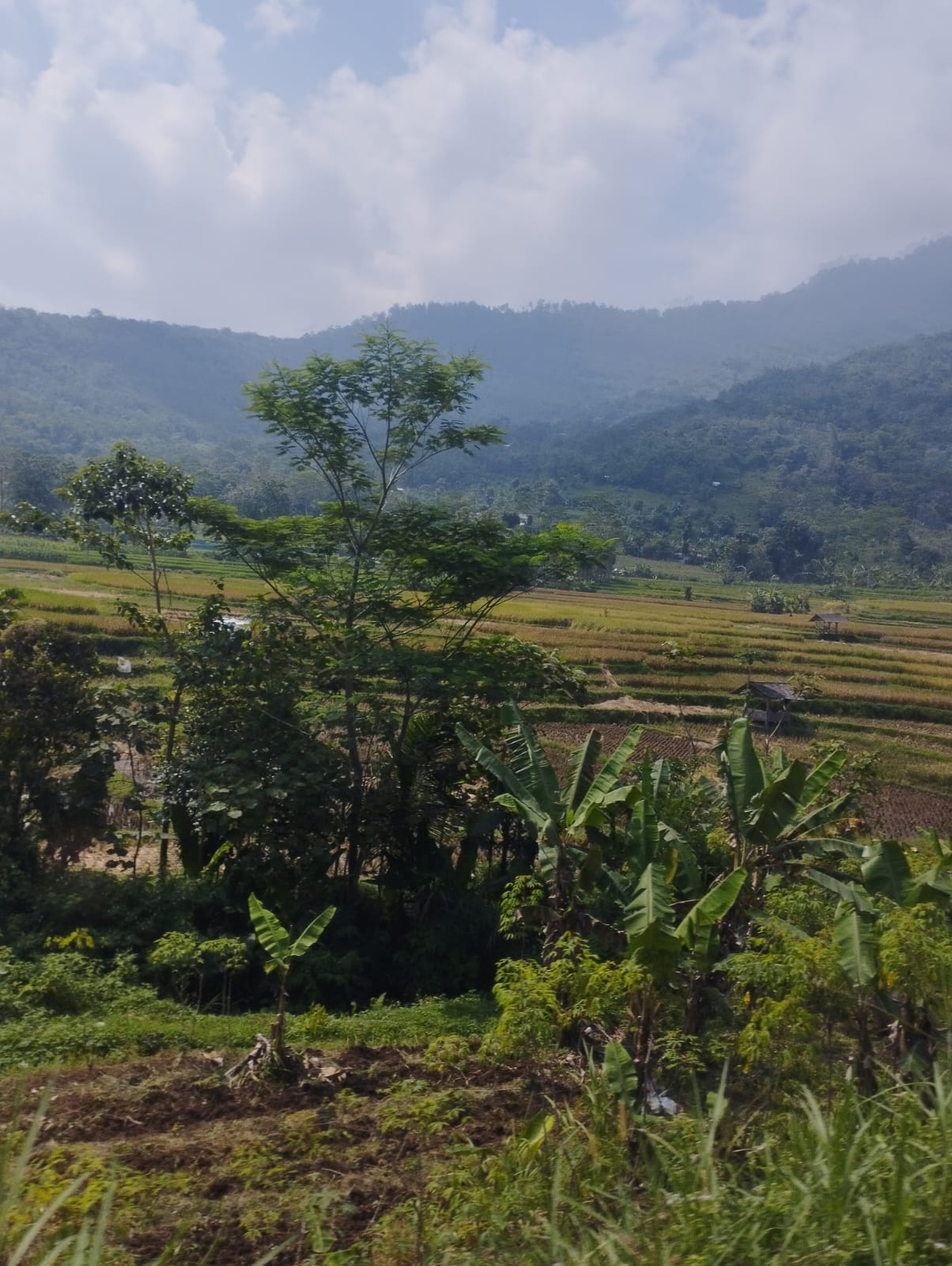 Beberapa Daerah  yang Cocok untuk Slow Living