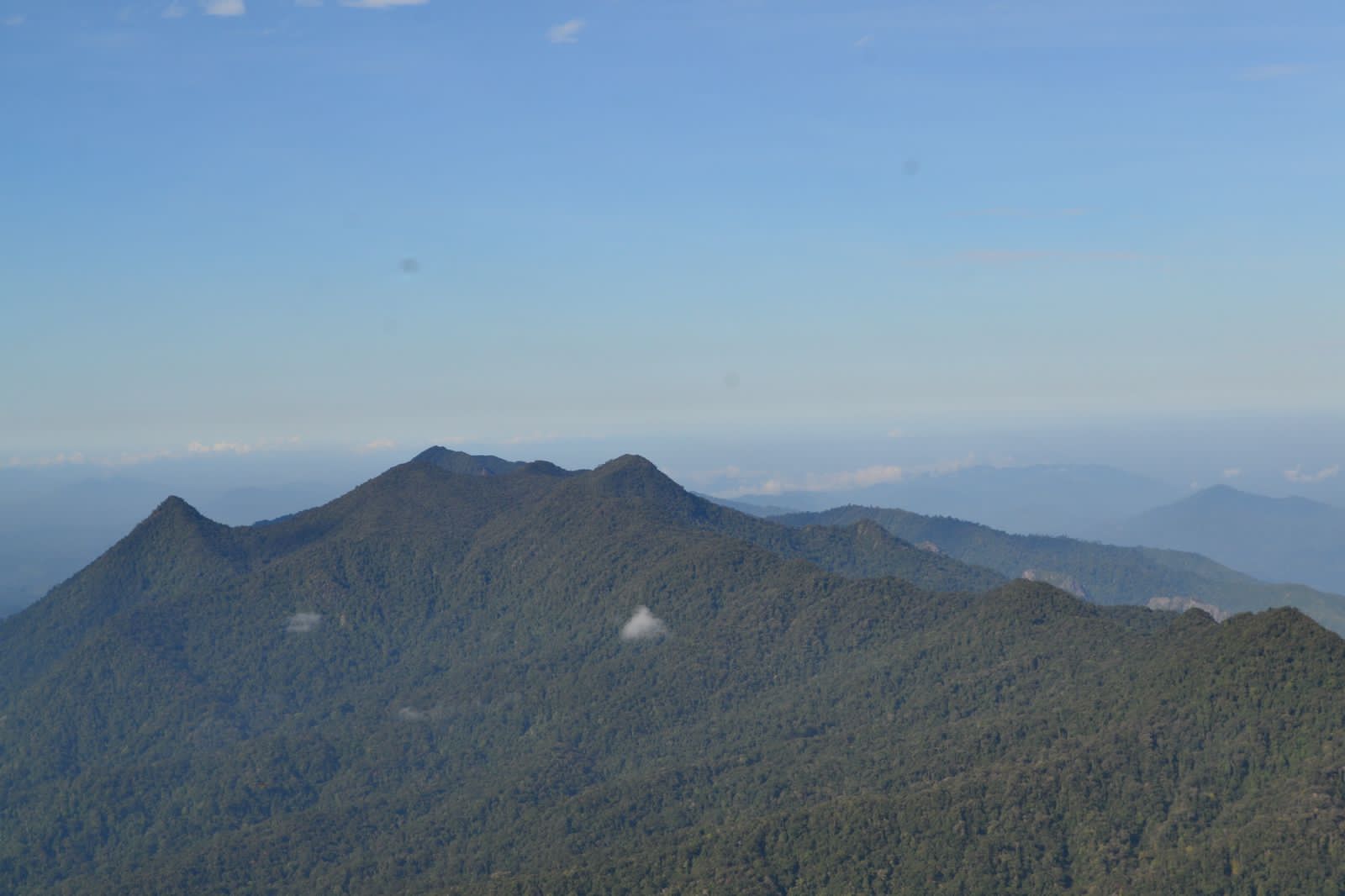 PBB Tetapkan Metodologi Baru Pasar Karbon Global