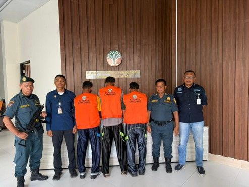 tiga pelaku perburuan ilegal di taman nasional komodo ditangkap