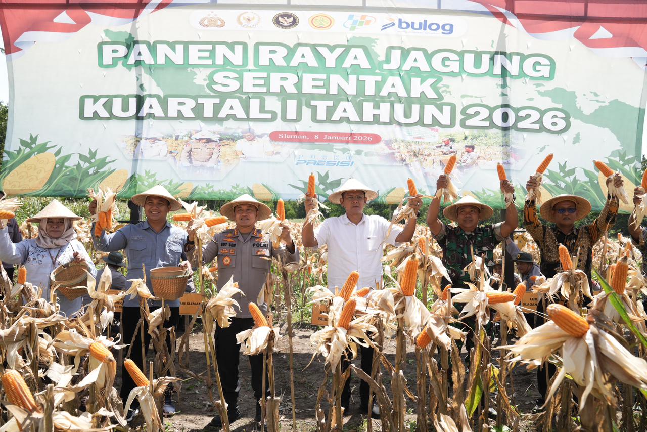 Polisi Sleman Panen Jagung di Cangkringan
