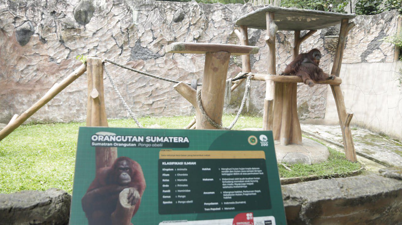 Pemkot Pastikan Bandung Zoo Tetap Tutup Saat Libur Lebaran