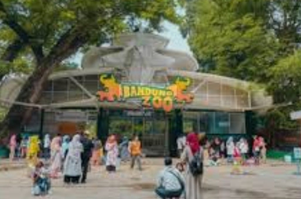 Pemkot Bandung Pastikan Kematian Anak Harimau di Bandung Zoo karena Virus