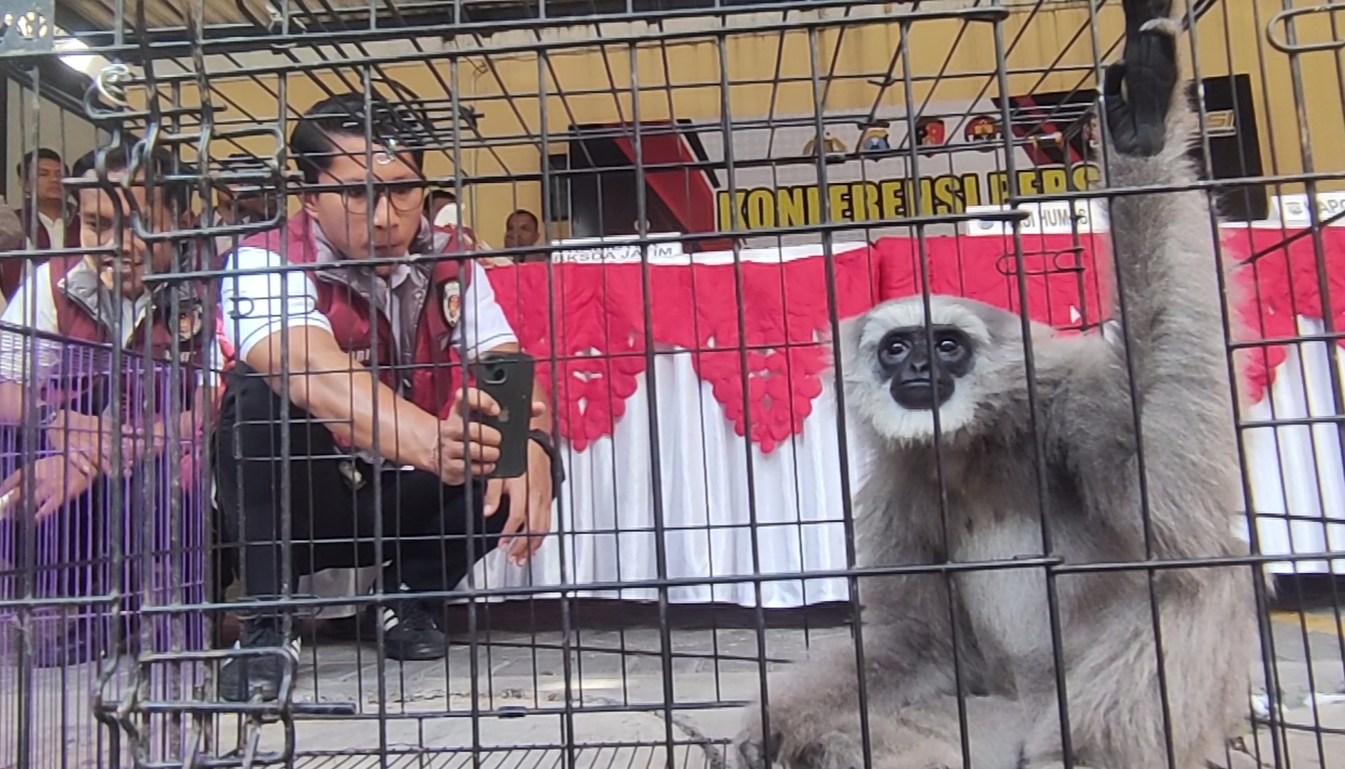 Polisi Ungkap Jaringan Perdagangan Satwa Dilindungi