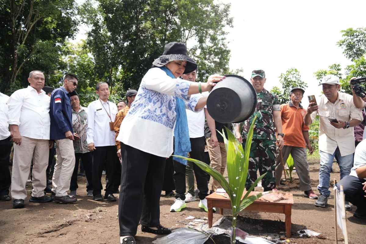 Dukung Kesejahteraan Petani, Titiek Soeharto Tanam Kelapa Genjah